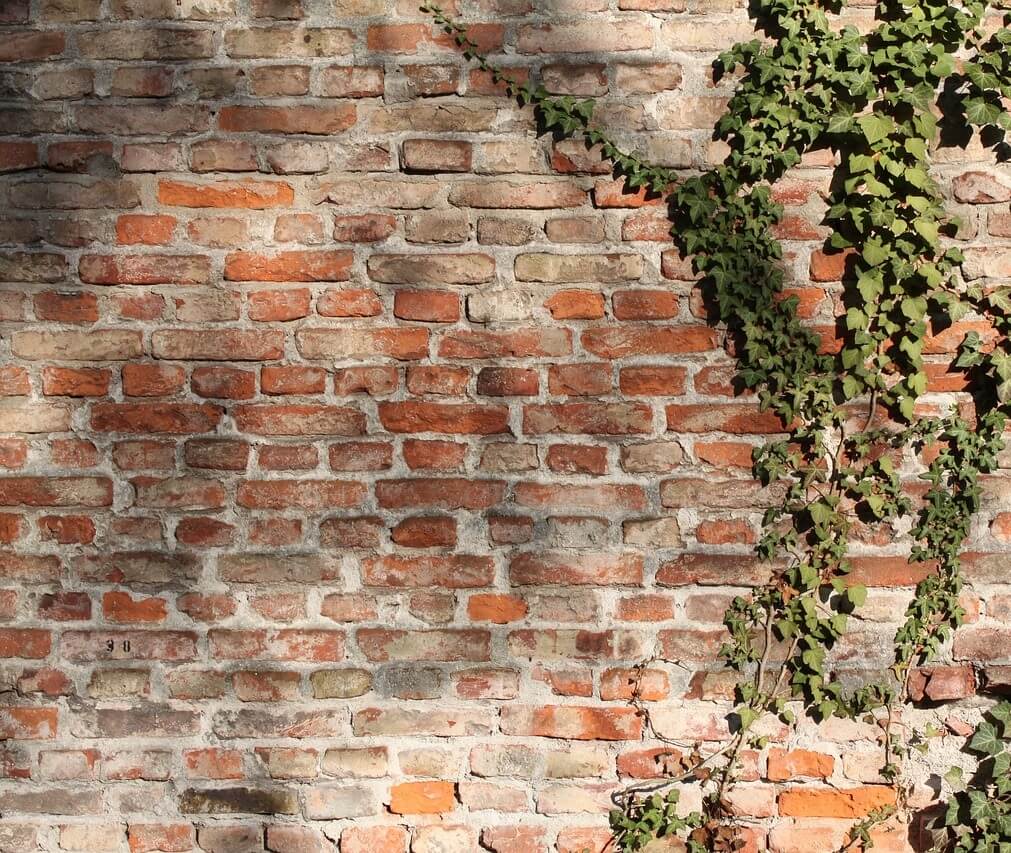 A collage of windows